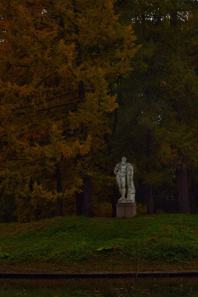 Photograph by Людмила Сарыцина