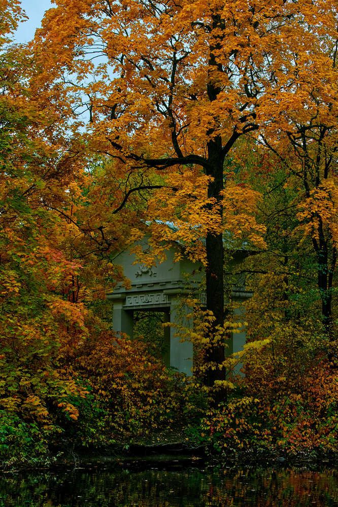 Photograph by Людмила Сарыцина