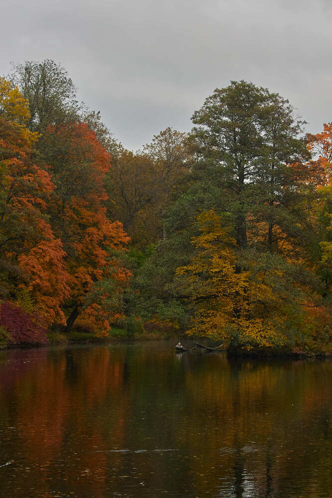 Photograph by Людмила Сарыцина