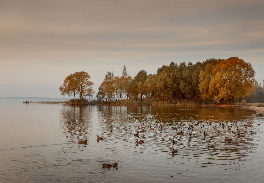 Фотография автора Онучина Юлия