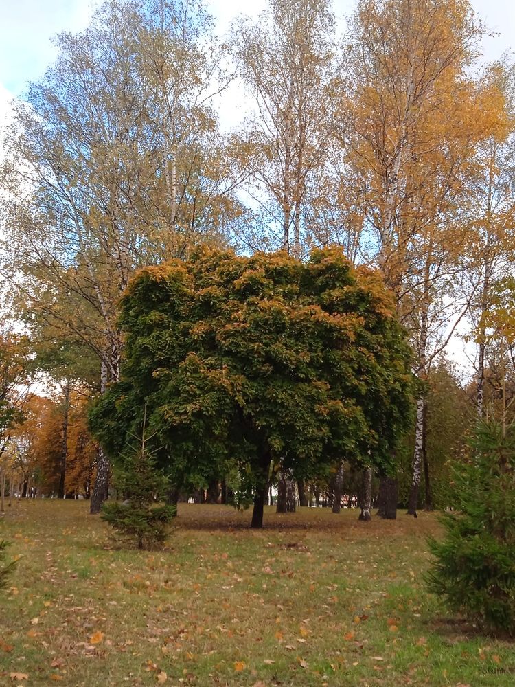 Photograph by Фёдор Викторович
