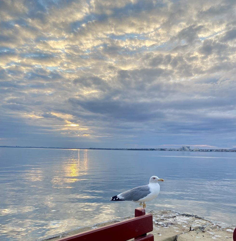 Photograph by Elena Ibragimova