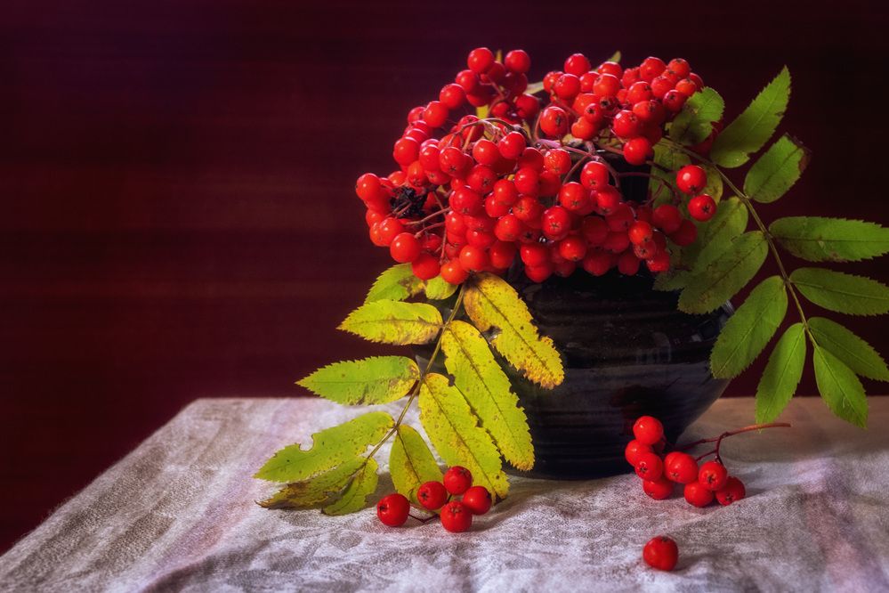 Photograph by Юлия Морозова