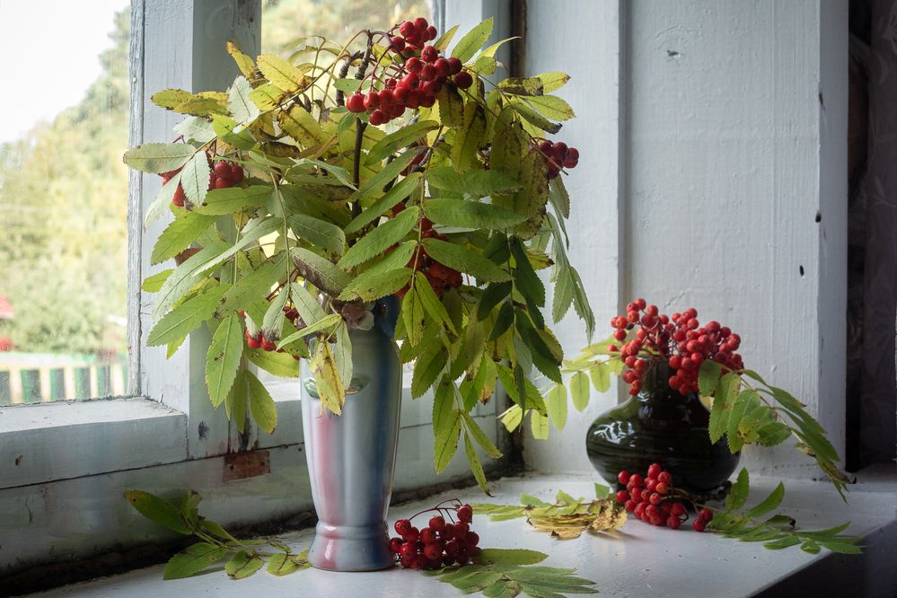 Photograph by Юлия Морозова