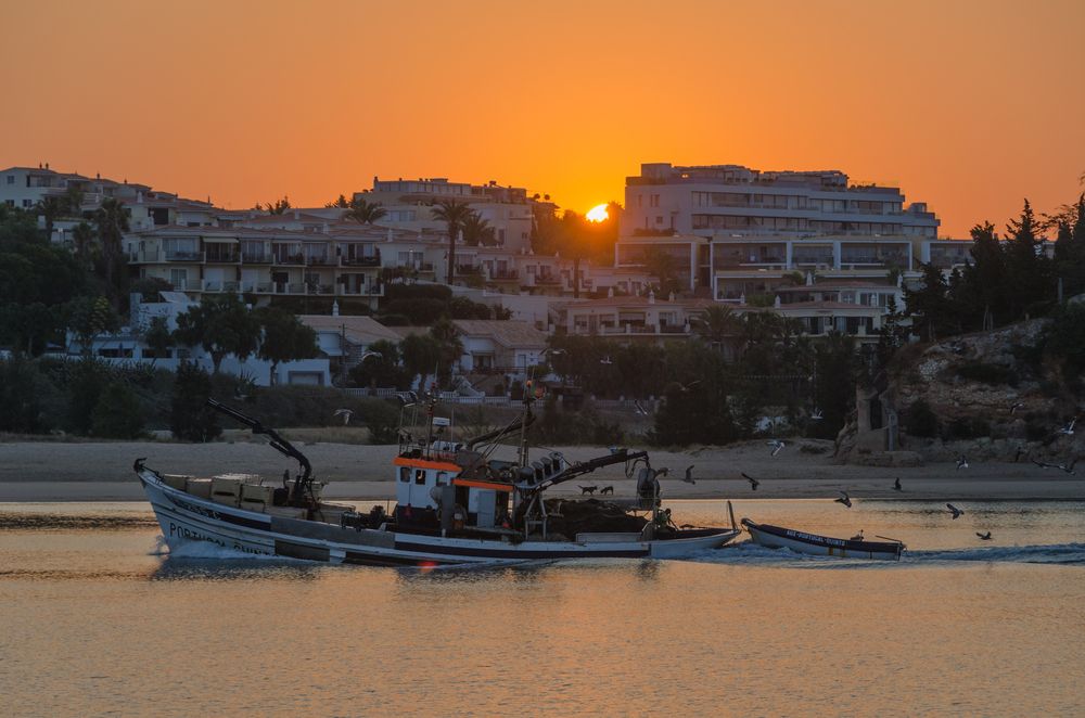 Photograph by Татьяна