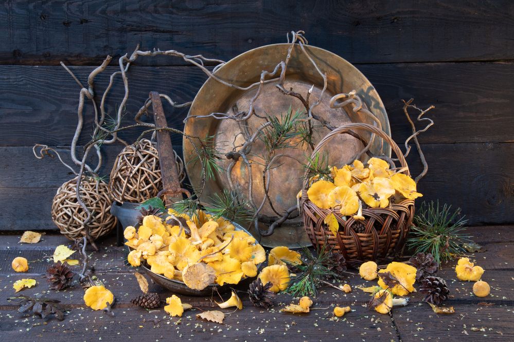 Photograph by Татьяна