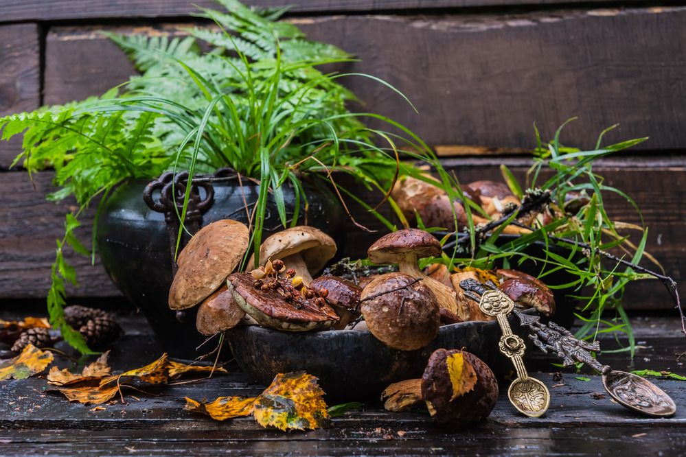 Photograph by Татьяна