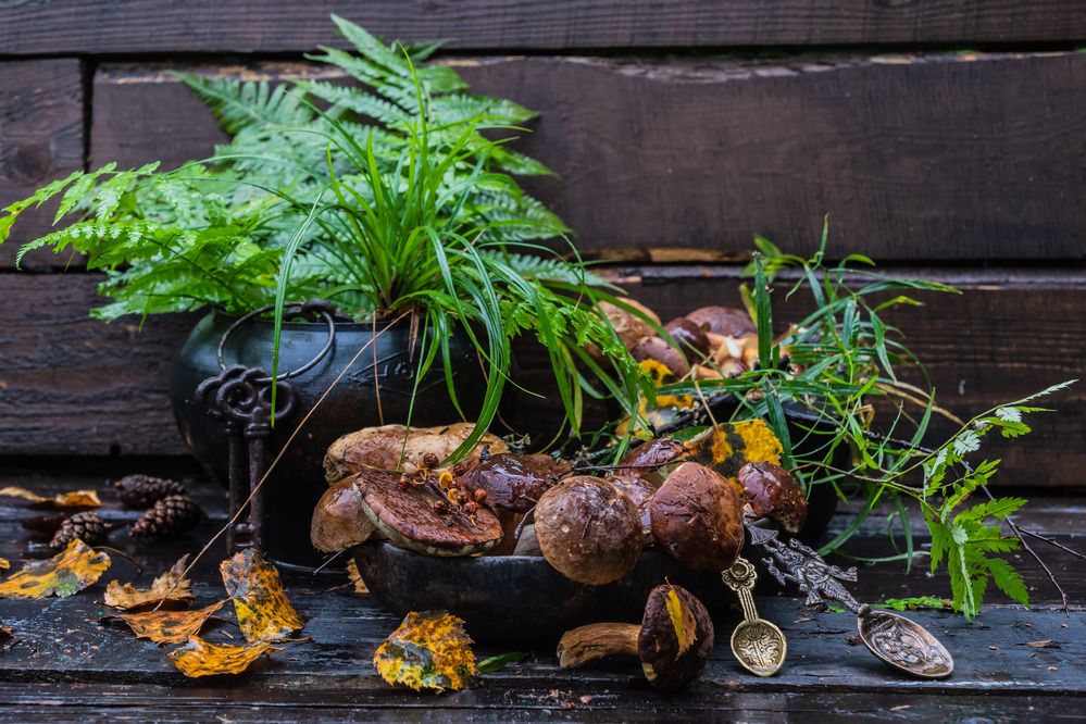 Photograph by Татьяна