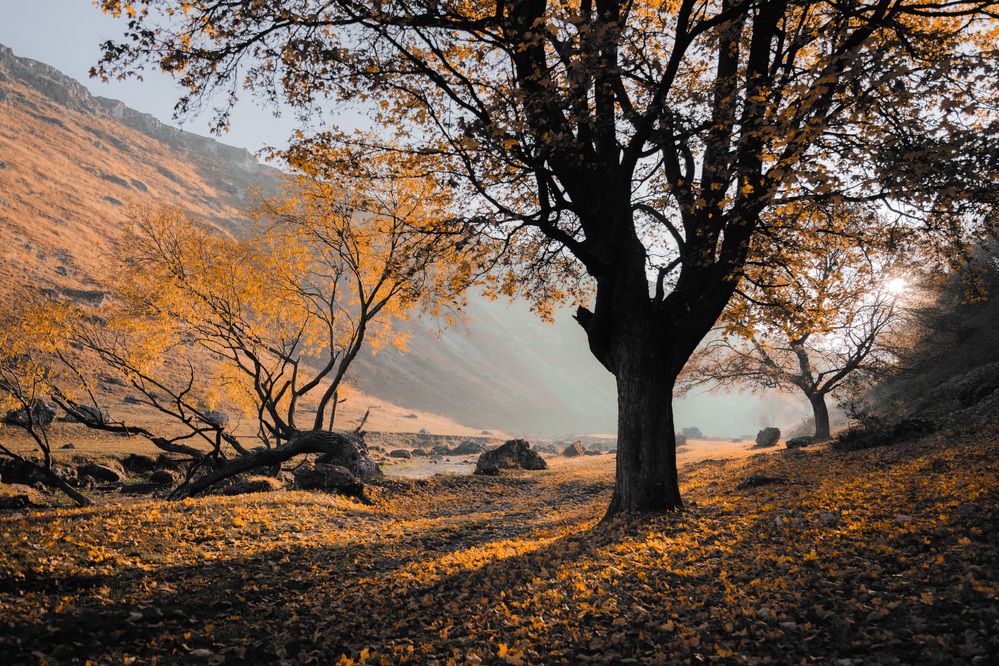 Фотография автора Сухенко Олег