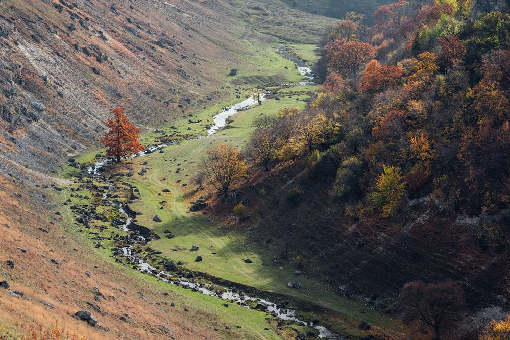 Фотография автора Сухенко Олег