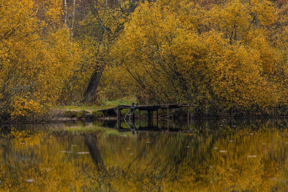 Photograph by Дмитрий Ефимов