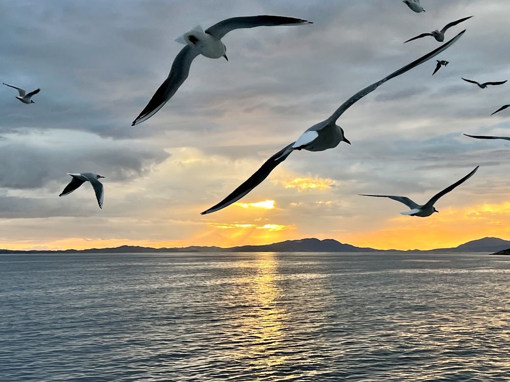 Photograph by Eleni Christogianni