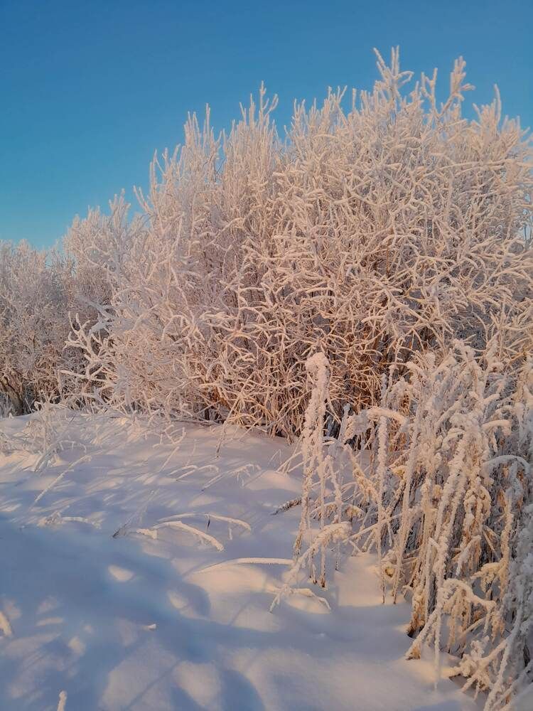 Photograph by Виталий Глазачев