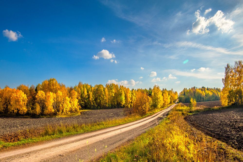 Фотография автора Владимир Чуприков