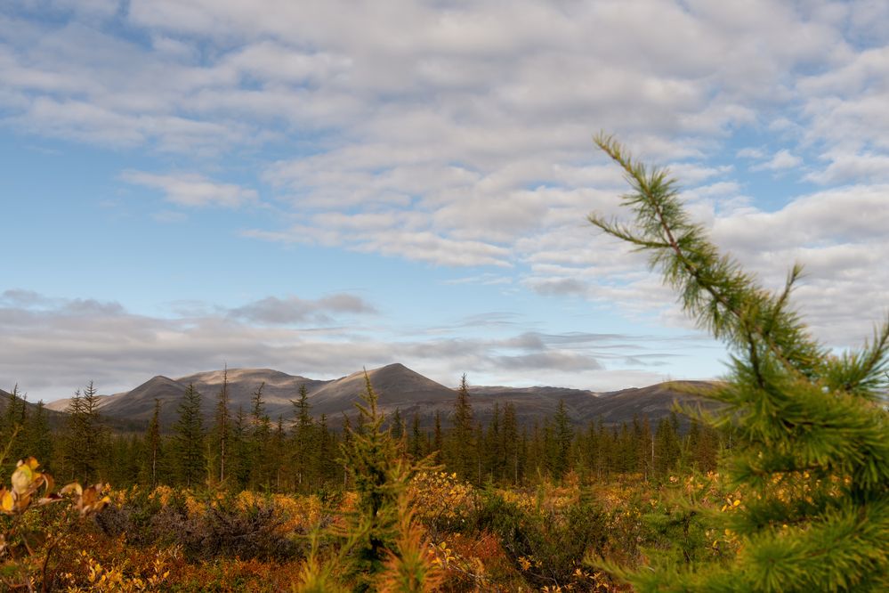 Photograph by Ирина Ульянова