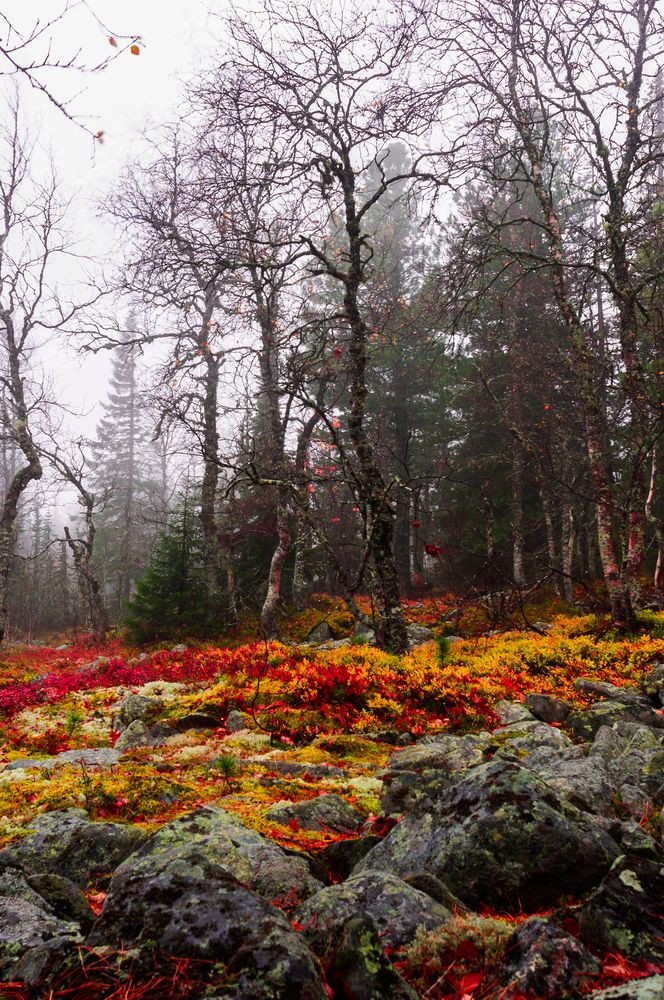 Photograph by Абаимов Александр