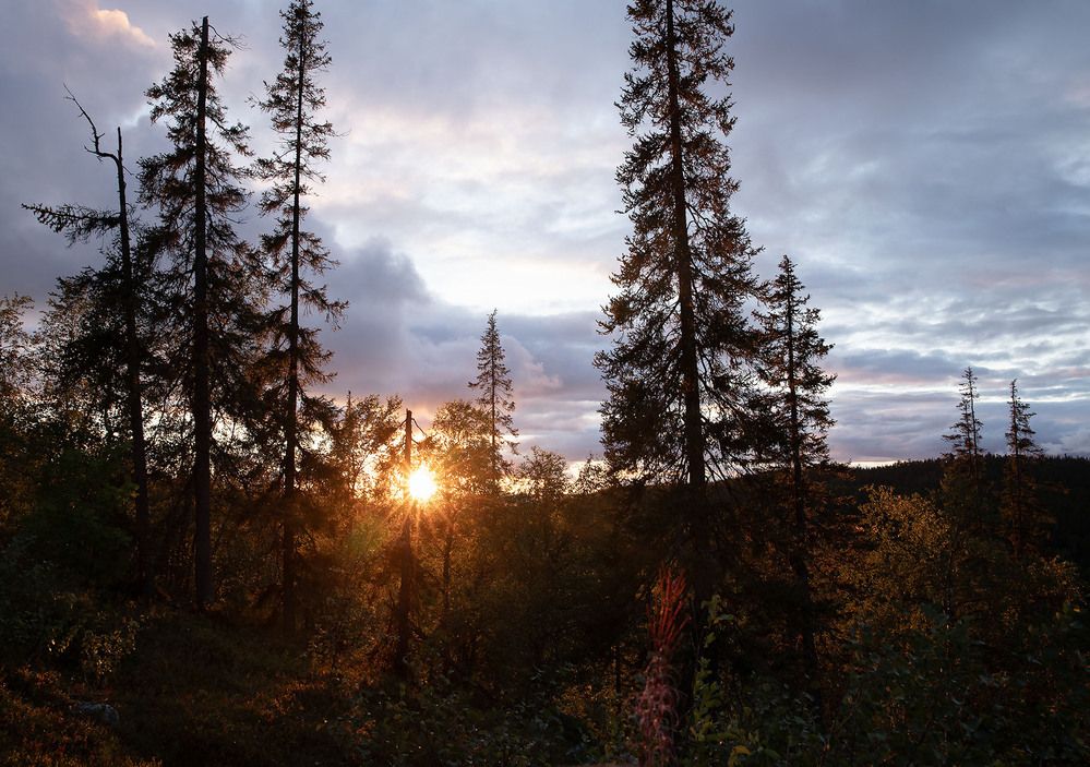 Красота заполярной осени