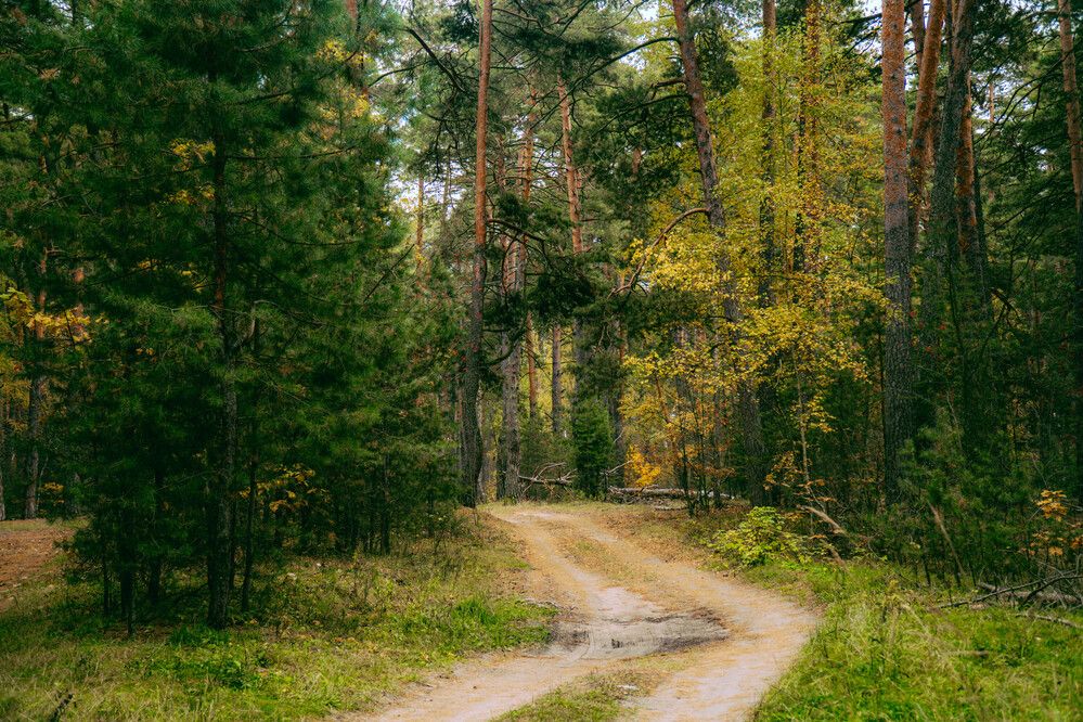 Photograph by Ekaterina Barashkova