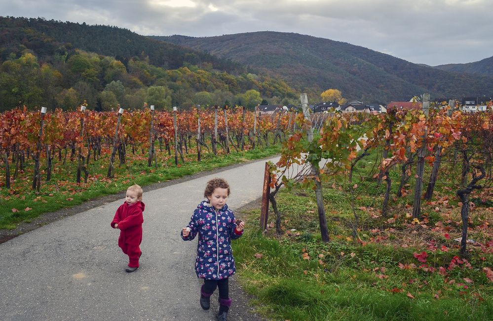 Фотография автора Александр