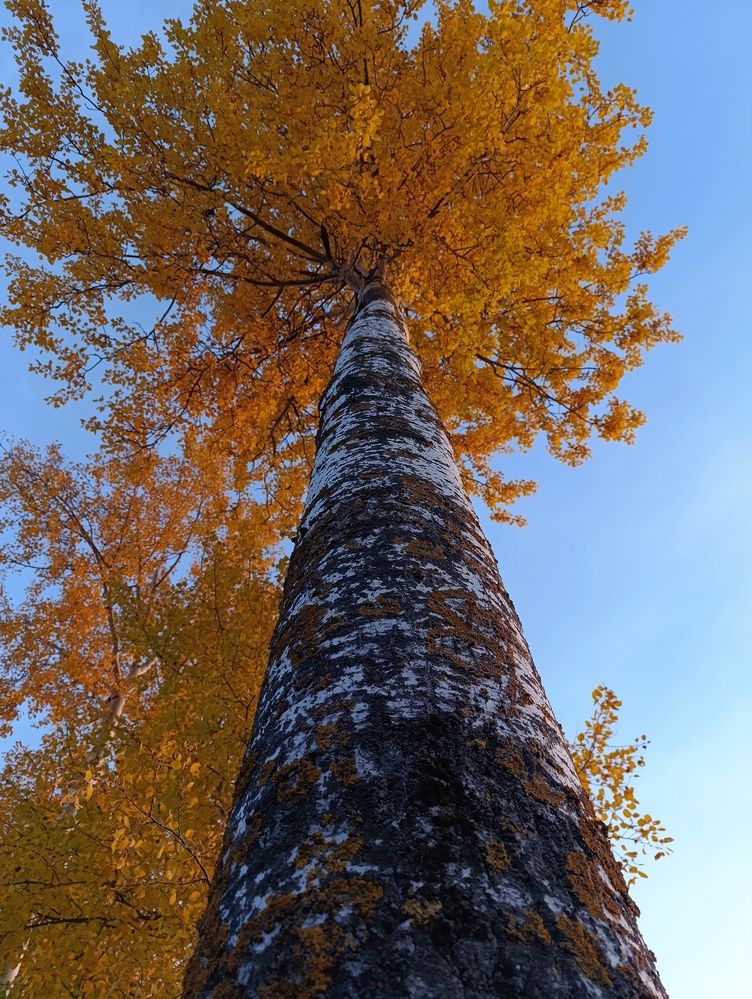 Photograph by Юрий Гордеев