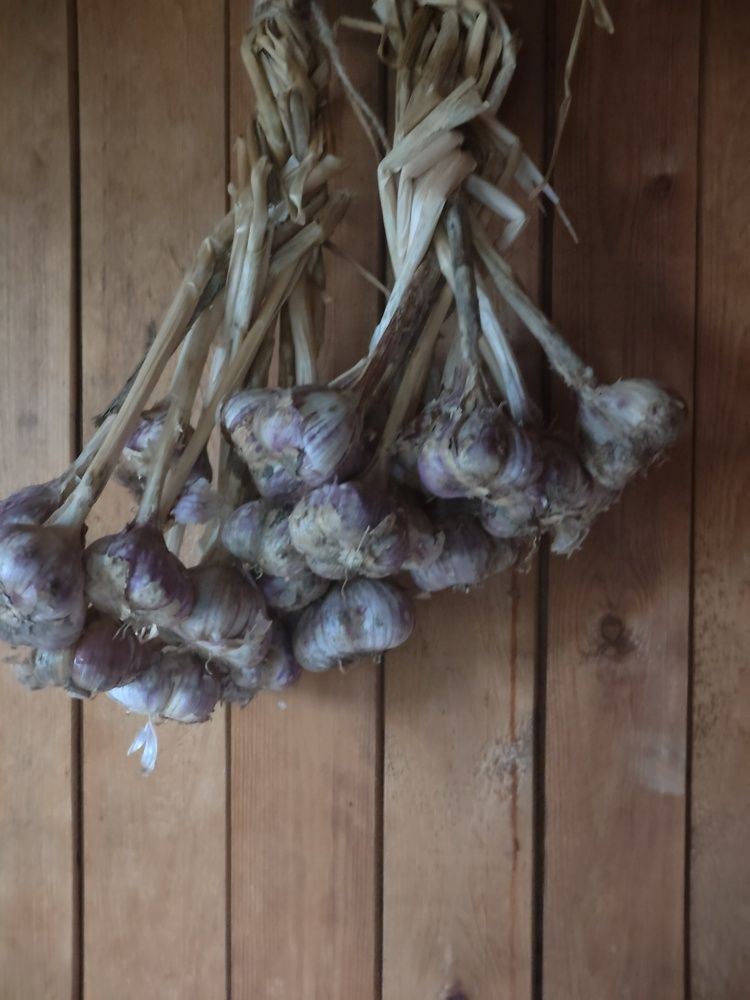 Photograph by Татьяна Фролова