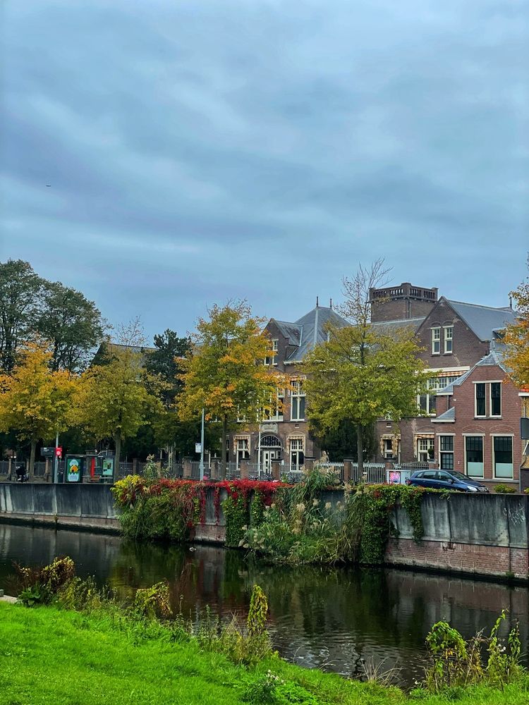 Фотография автора Nadezhda