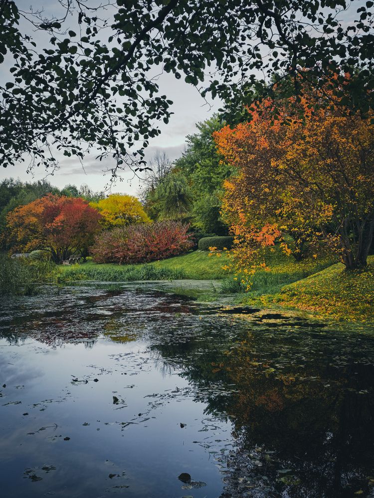 Photograph by Ирина Хлебникова