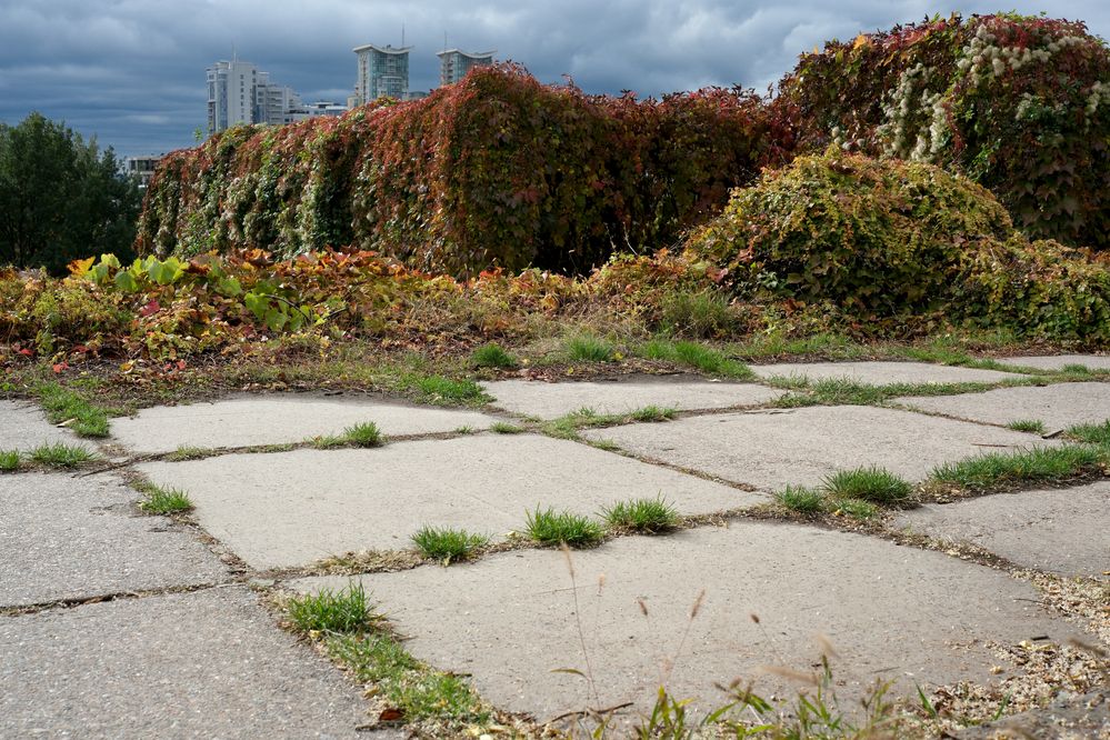 Photograph by Владимир Белобаба