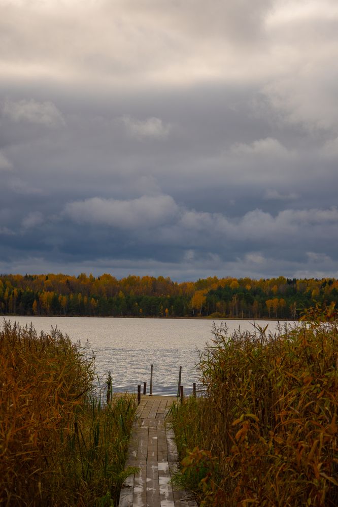 Photograph by Нина Малютина