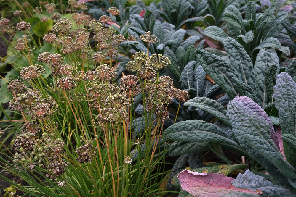 Photograph by Владимир Белобаба