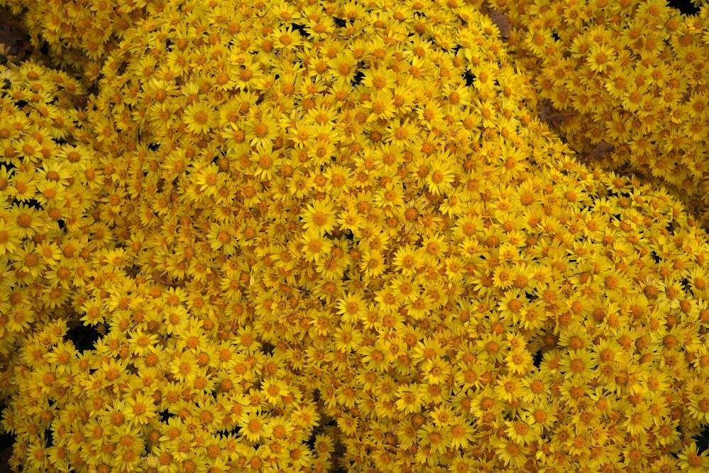 Photograph by Владимир Белобаба