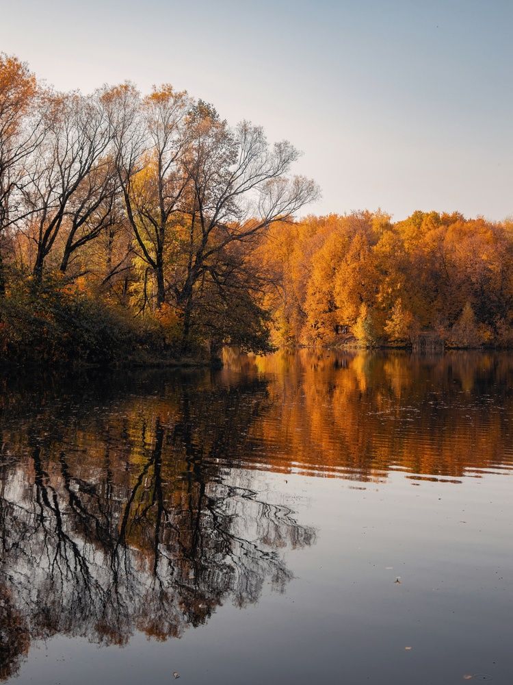 Photograph by Анна Любимова