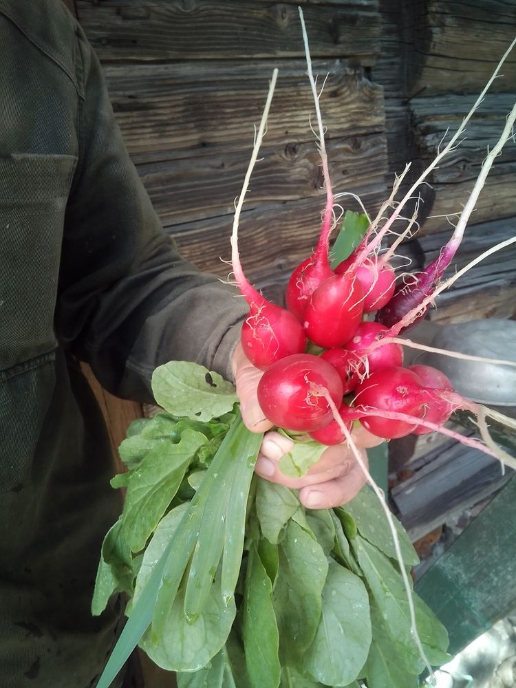 Photograph by Азаренкова Ирина