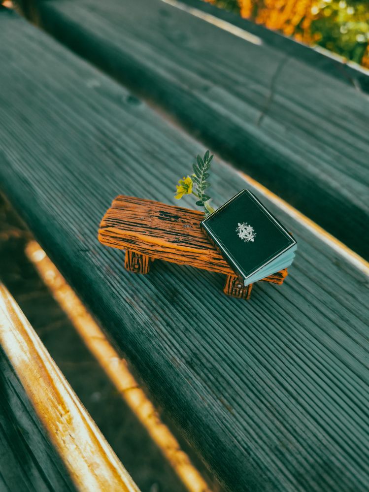 Фотография автора Elena Safarova