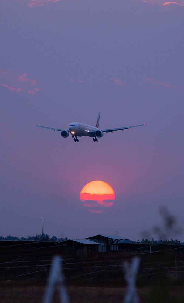 Photograph by Dinesh Sai Bhaskar