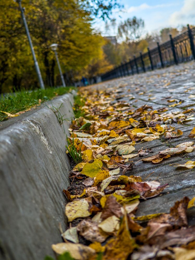 Photograph by Сергей Коклин