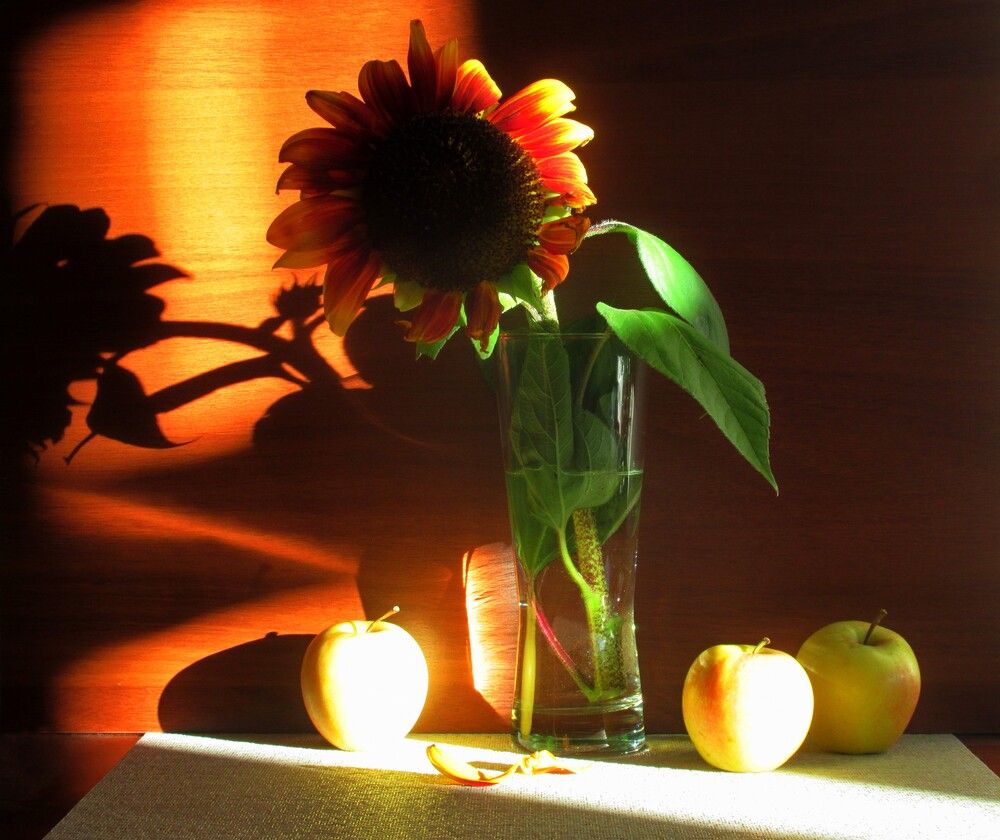 Photograph by Ольга Березовская