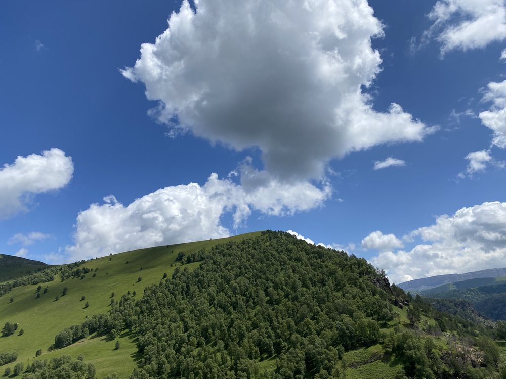 Photograph by Gulnaz