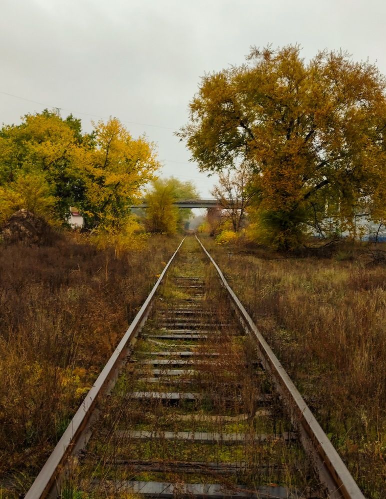 Photograph by Ирина Дегтярева