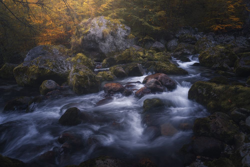 Photograph by de Franzoni Thomas