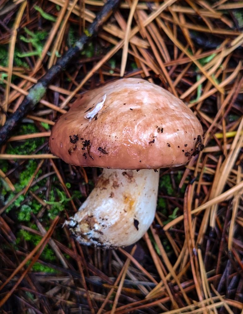 Photograph by Ирина Дегтярева