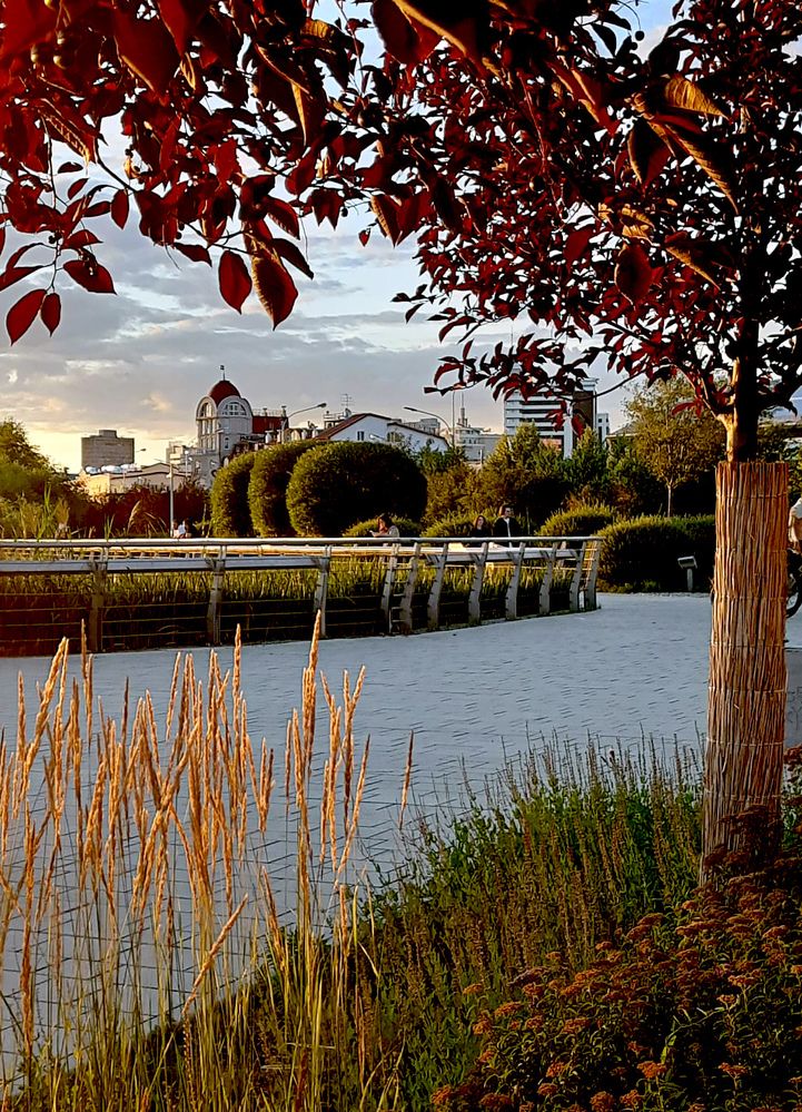 Photograph by Рашид Сафиуллин