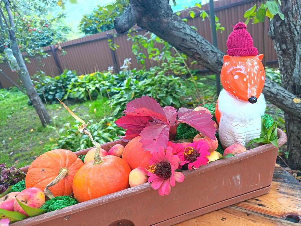 Photograph by Анна Колесникова