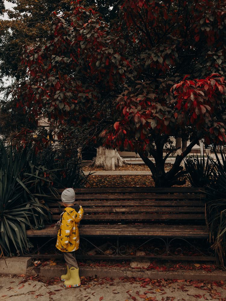 Photograph by Анна Голубцова