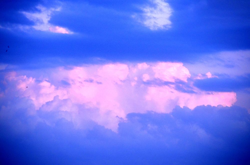 Photograph by Алена Самошина