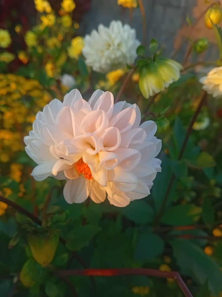 Photograph by София Корепанова