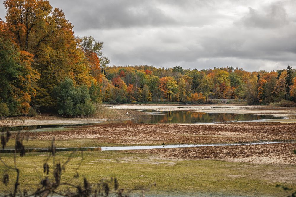 Photograph by Яна Нарбутович