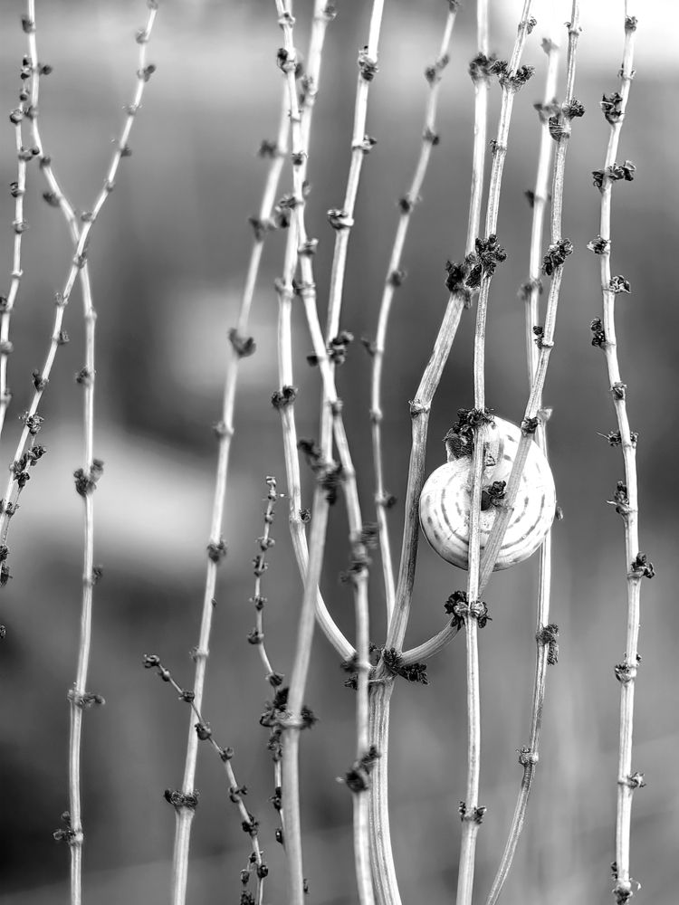 Photograph by OLGA MIKHNEVICH