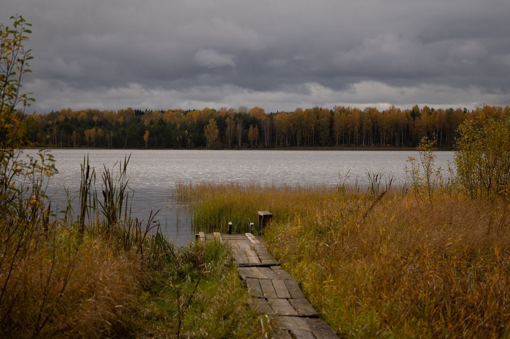 Photograph by Екатерина Одинцова