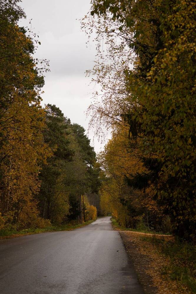 Photograph by Екатерина Одинцова